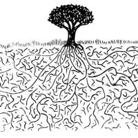 A Tree With Roots Music – For The Preservation of Song